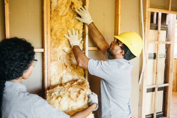 Best Garage Insulation  in Ionia, MI